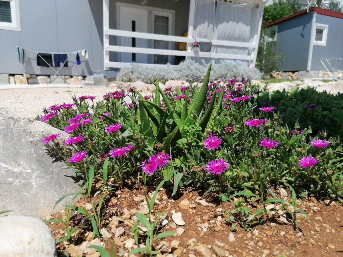 Fjaka Camp Pakoštane Exteriér fotografie